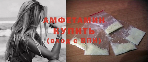 гашик Ельня