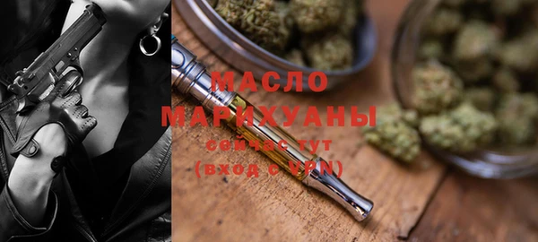 гашик Ельня