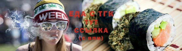 гашик Ельня