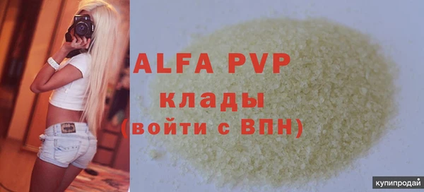 гашик Ельня