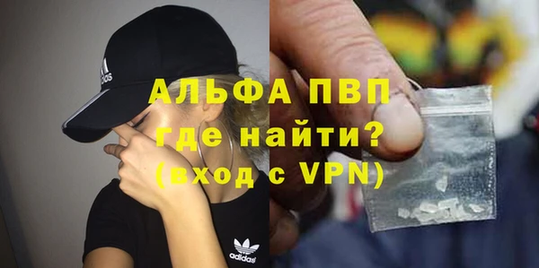 гашик Ельня