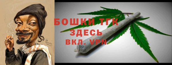 гашик Ельня
