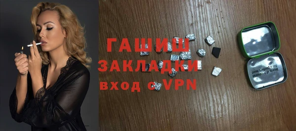 гашик Ельня